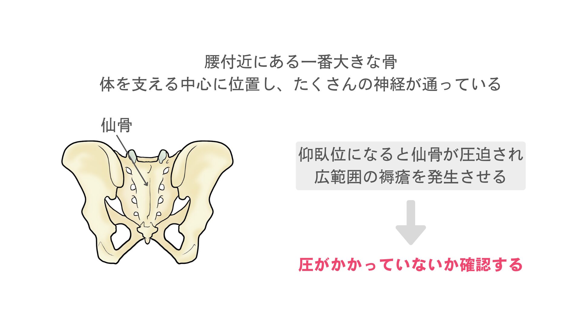【看護学生向け】褥瘡好発部位の覚え方|実際にやるのが一番! | リトライナース